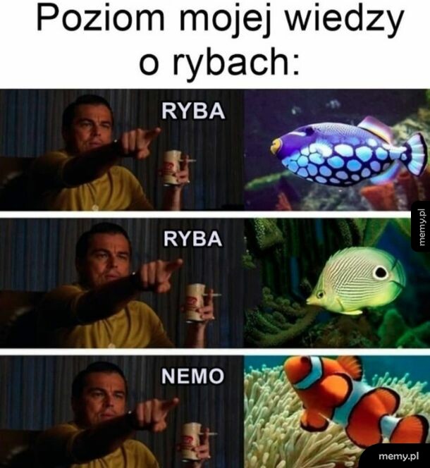 Mów mi Ichtiolog