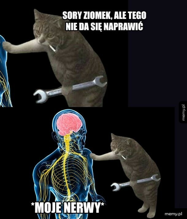 Nie naprawię, ale mogę pomruczeć