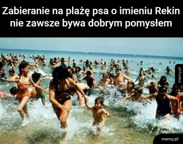 Rekin