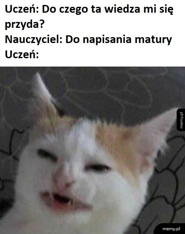 Wiedza ze szkoły