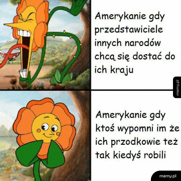 Amerykanie