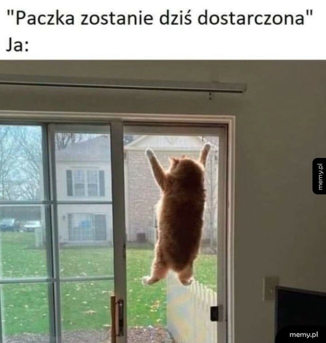 Czekam!