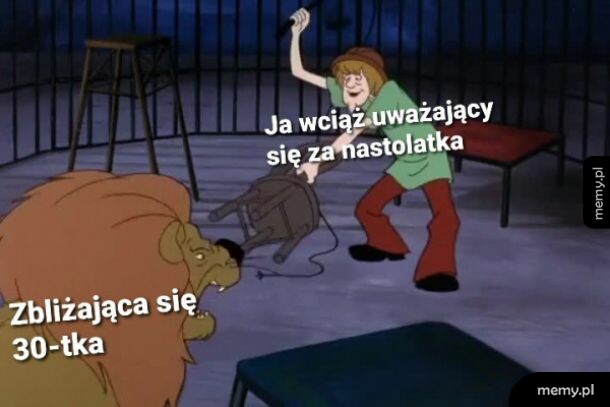 Spokojnie, wszystko w porządku