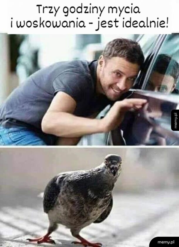 Czyściutki. Na razie
