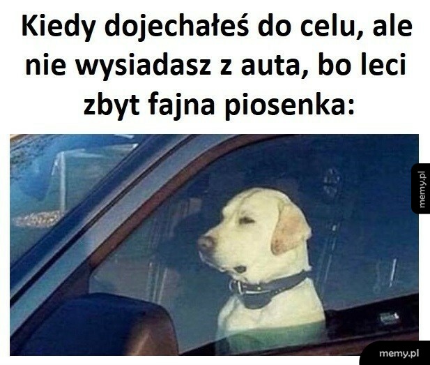 Zawsze tak jest