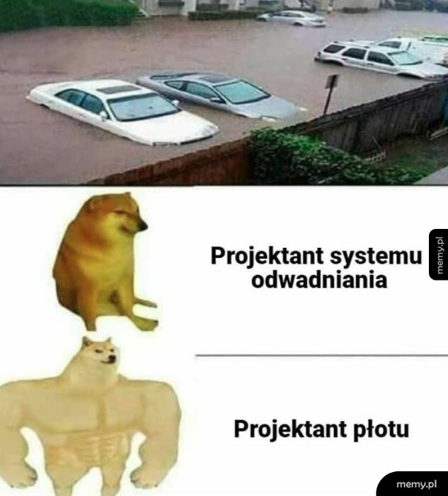 Projektant płotu