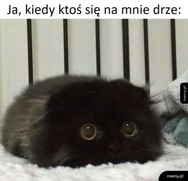 Niech już to się skończy