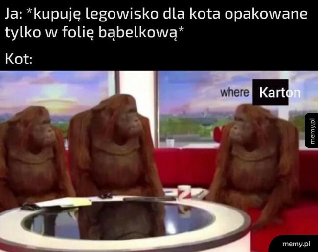 Gdzie karton?