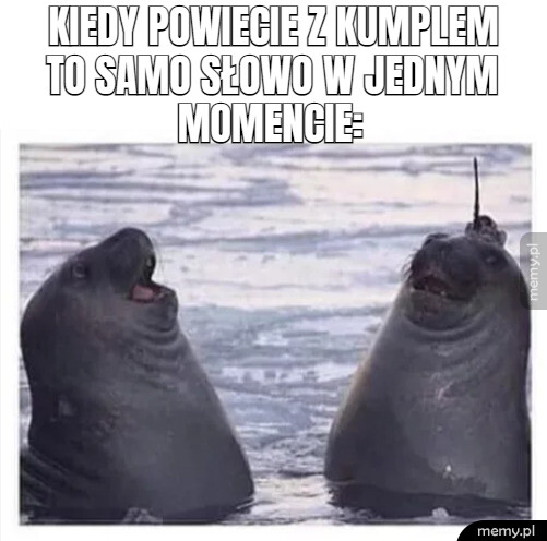 Synchronizacja