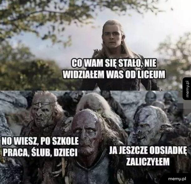 Władcy pierścieni
