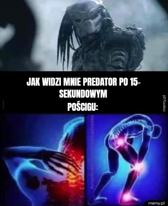 Predator