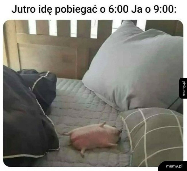 Tak wyszło