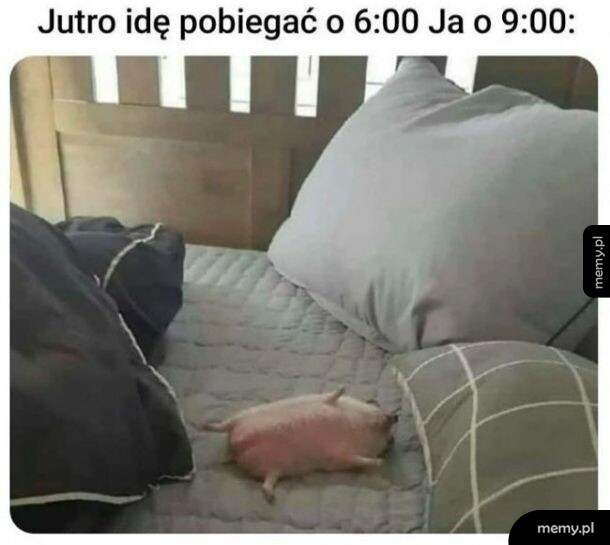 Moje plany