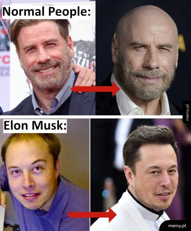 Udany przeszczep