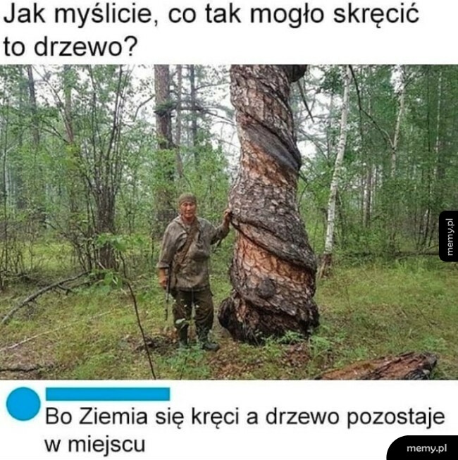 Co tak mogło skręcić drzewo?