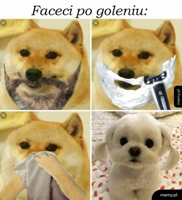 Golenie