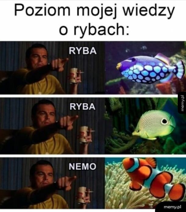 Typowo