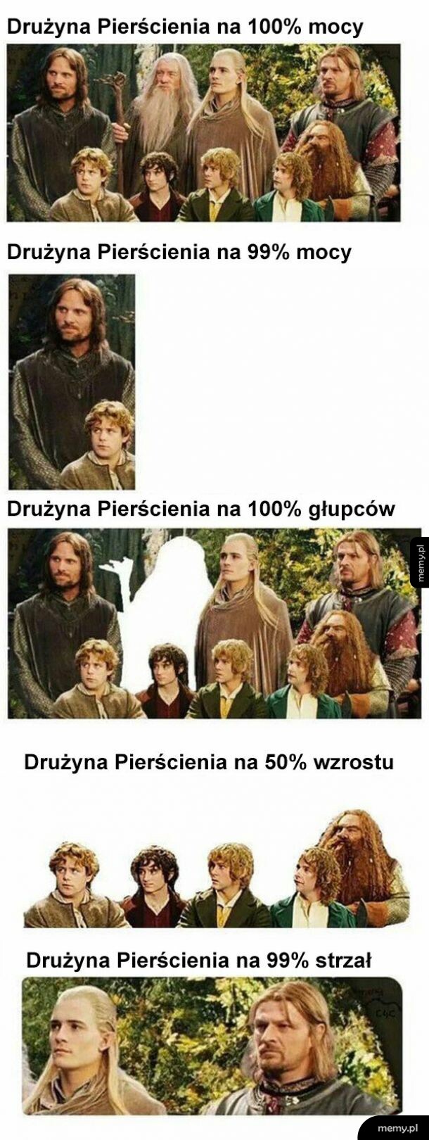 Drużyna Pierścienia