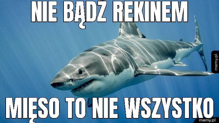 Nie bądź rekinem mięso to nie wszystko