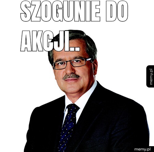 Szogunie do akcji..