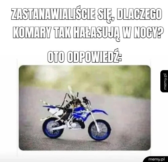 Te wstrętne komary