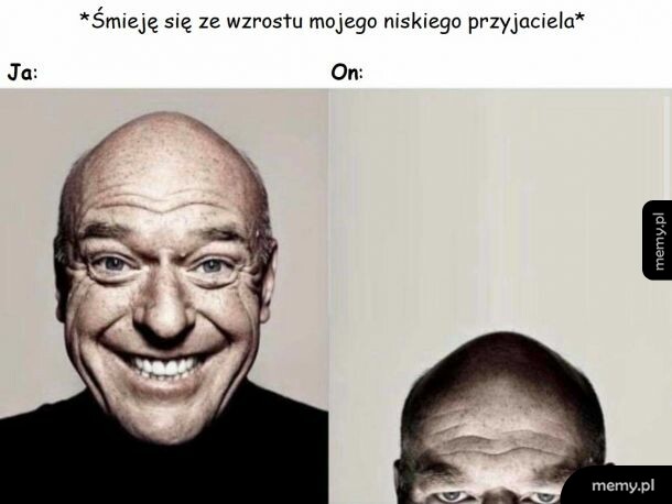Wzrost