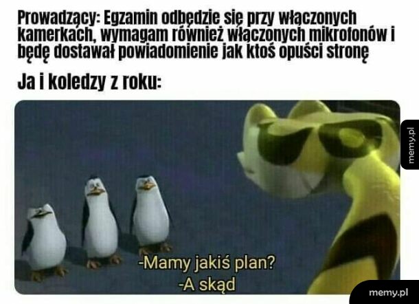 Przypał