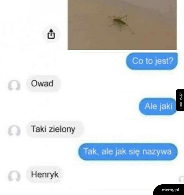 Co to za owad?