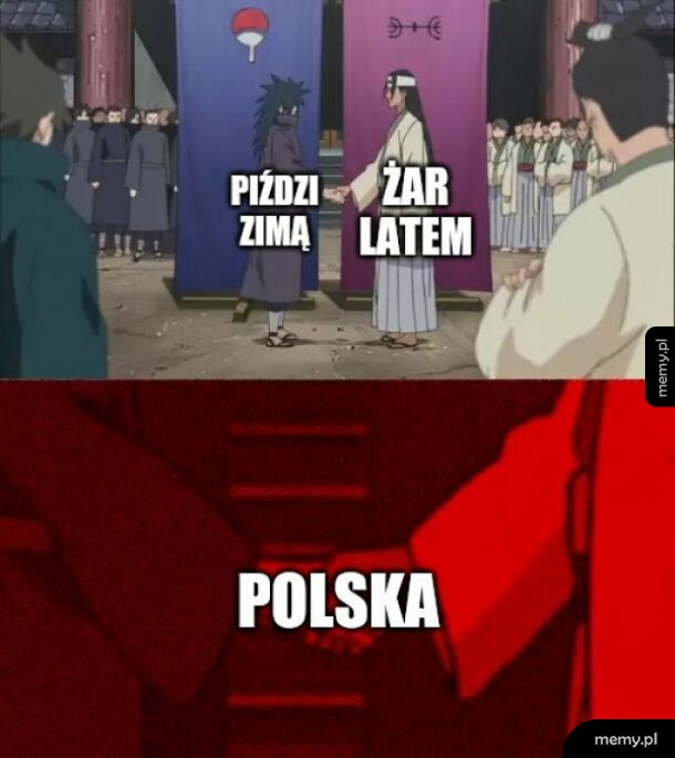 Pogoda