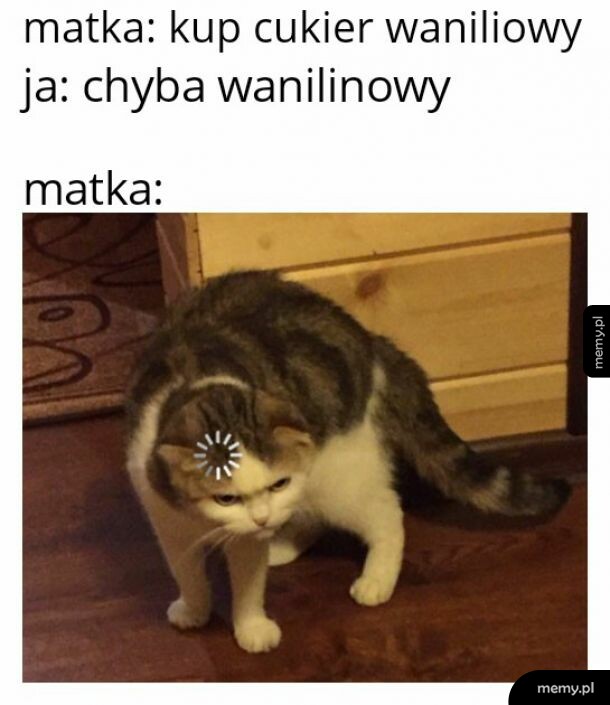 to w końcu jaki