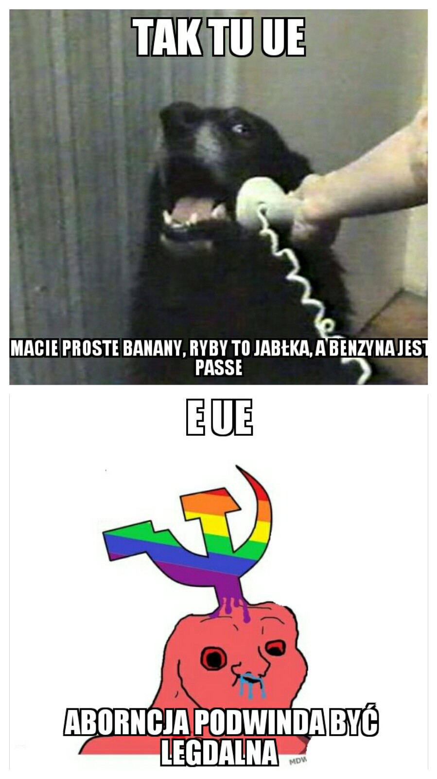 UE vs Lemwica