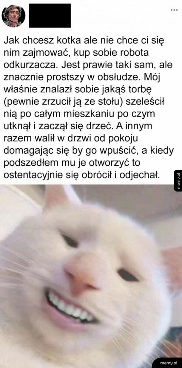 Kot vs odkurzacz