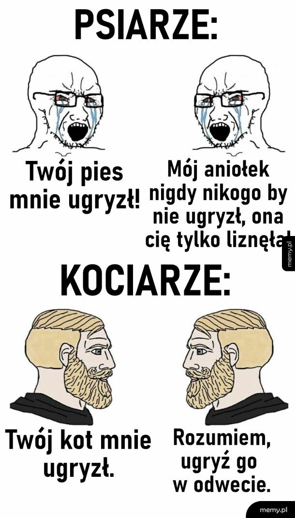 Psiarze vs Kociarze