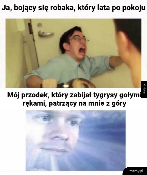 Przodek