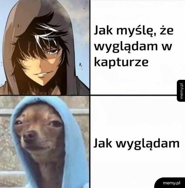 Kaptur