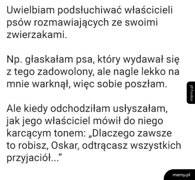 Rozmowy ze zwierzakami