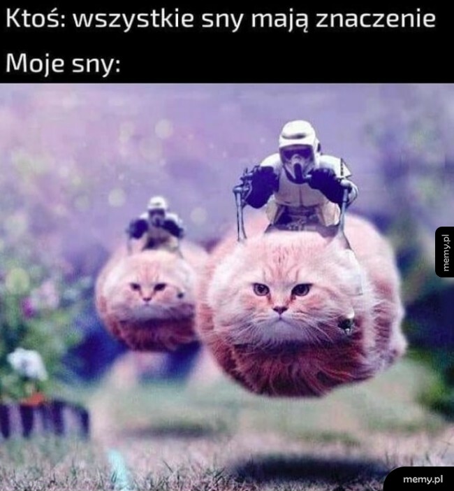 Sny