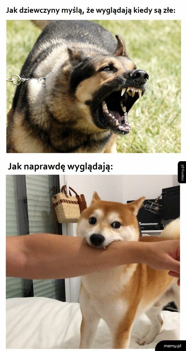 Jak wygląda dziewczyna, kiedy jest zła