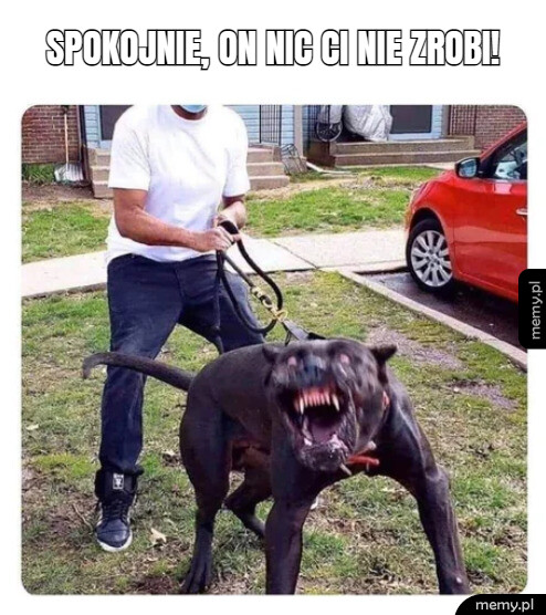 To spokojny piesek jest :D