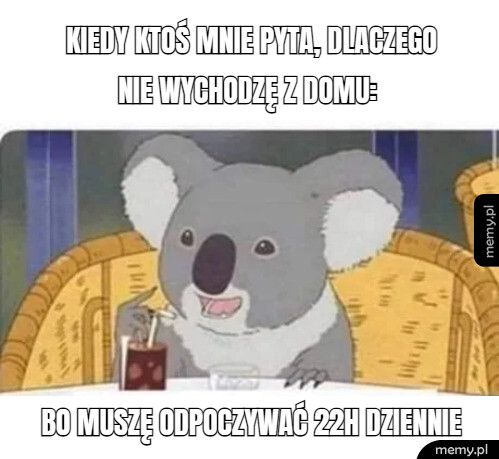 Styl życia koali