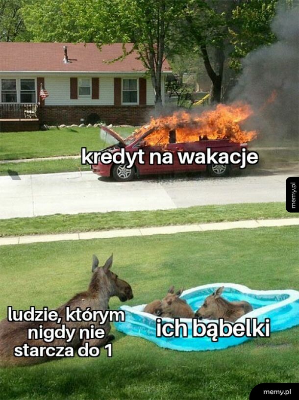 Jest dobrze, żyj chwilą