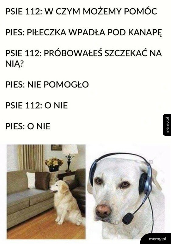 Psie 112
