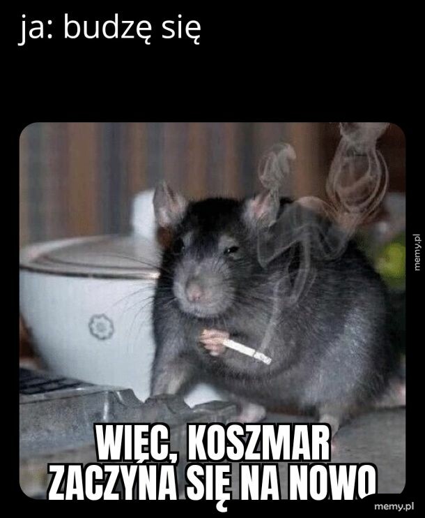 Pobudka