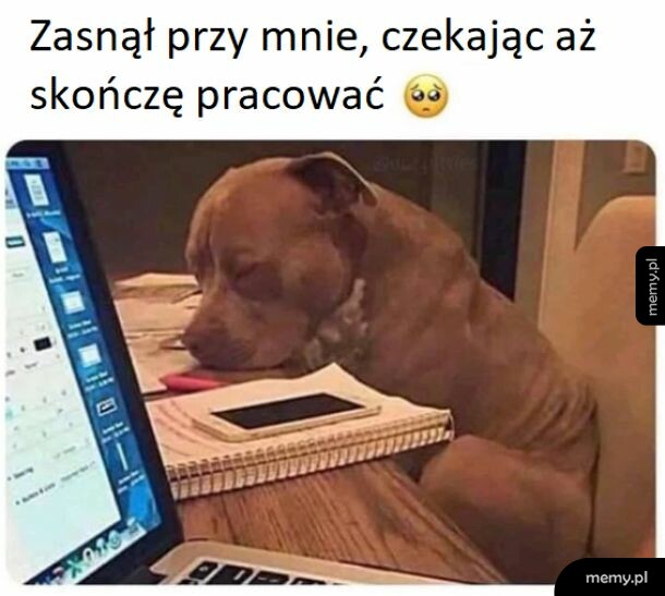 To jest mój największy słodziak