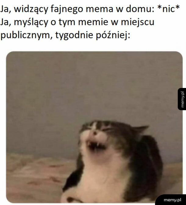 Mózgu, co ty mi robisz