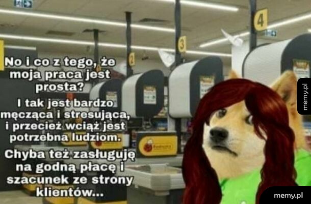 Pani z biedronki