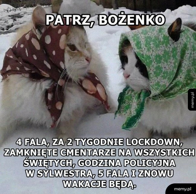 Jakoś zleci
