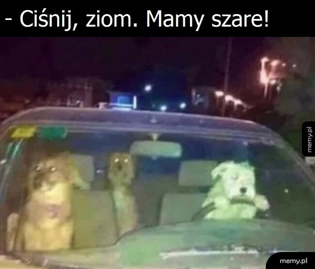 Można jechać