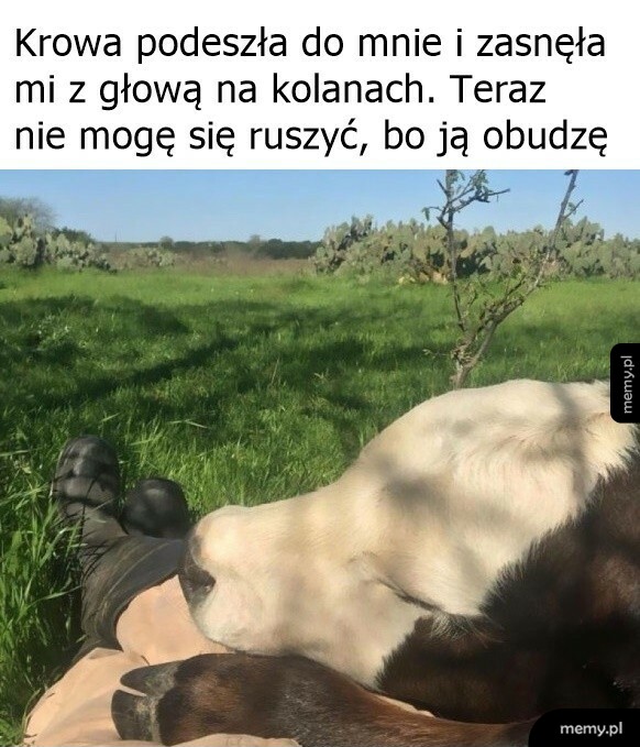 Słodki widok