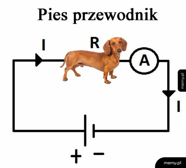 Fyzyka